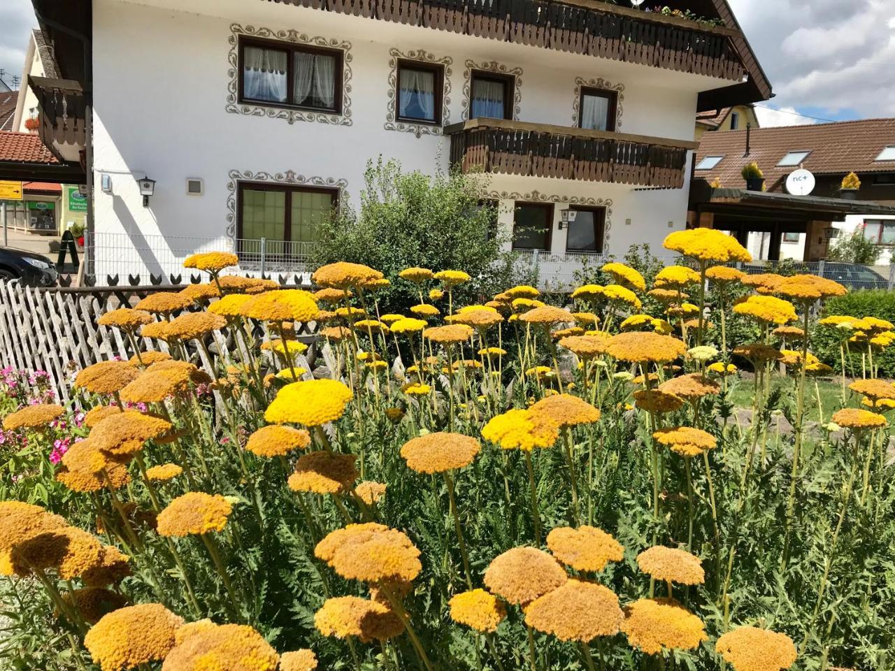 Hotel-Pension Zum Bierhaus Rötenbach Exterior foto